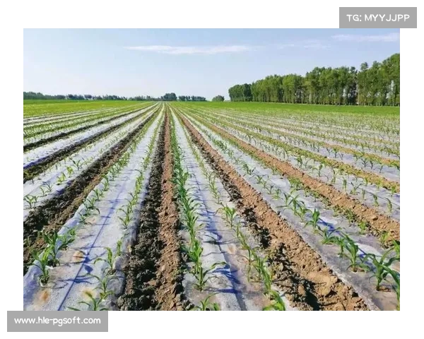 罗马俱乐部承诺2030年实现碳中和目标推动全球可持续发展进程