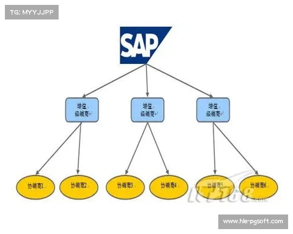 切尔西青训布局全球 五大洲学校扩展计划启动 切尔西青训布局全球 五大洲学校扩展计划启动
